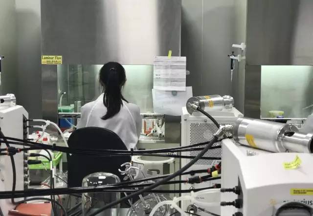菠菜担保网·(中国区)官方网站
