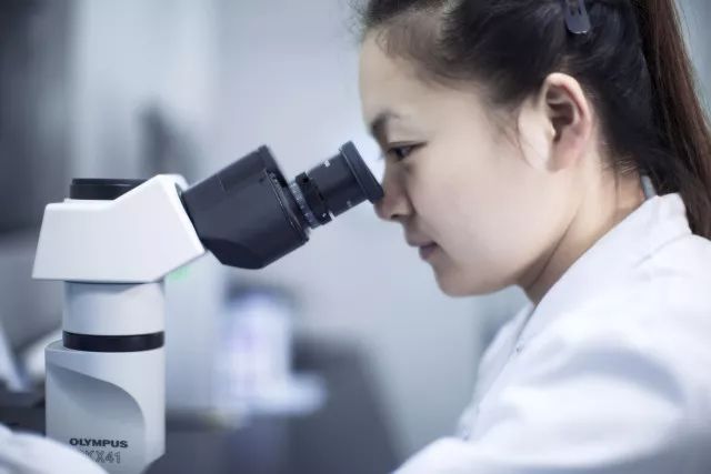 菠菜担保网·(中国区)官方网站