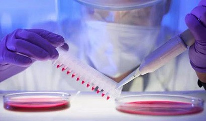 菠菜担保网·(中国区)官方网站