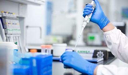 菠菜担保网·(中国区)官方网站