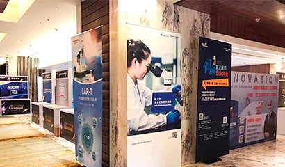 菠菜担保网·(中国区)官方网站