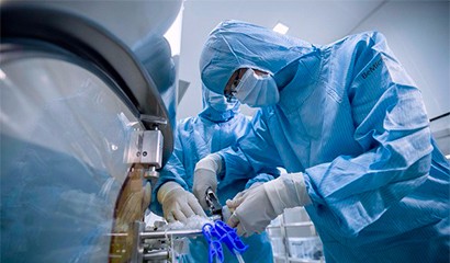 菠菜担保网·(中国区)官方网站