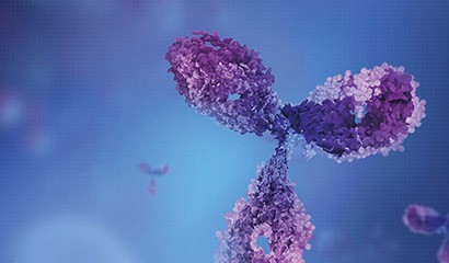 菠菜担保网·(中国区)官方网站