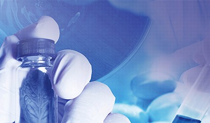 菠菜担保网·(中国区)官方网站