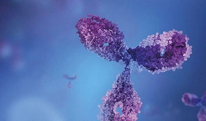 菠菜担保网·(中国区)官方网站