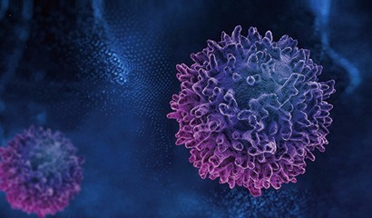 菠菜担保网·(中国区)官方网站