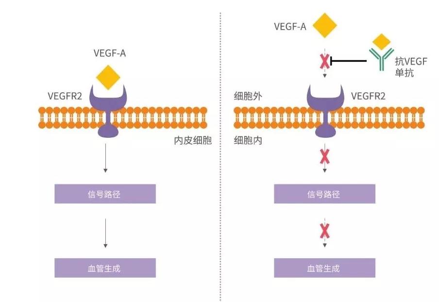 菠菜担保网·(中国区)官方网站