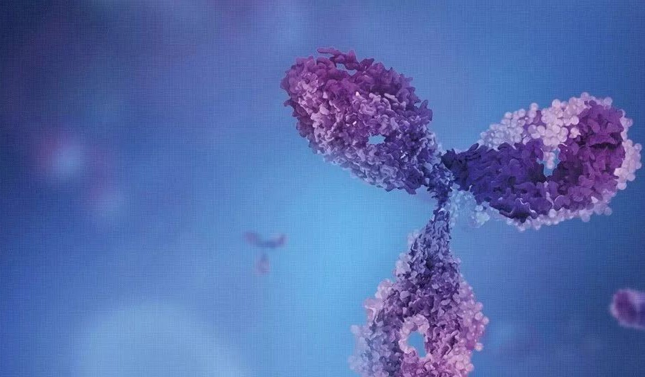 菠菜担保网·(中国区)官方网站