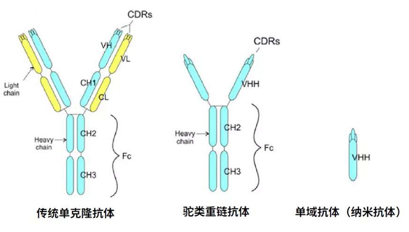 菠菜担保网·(中国区)官方网站