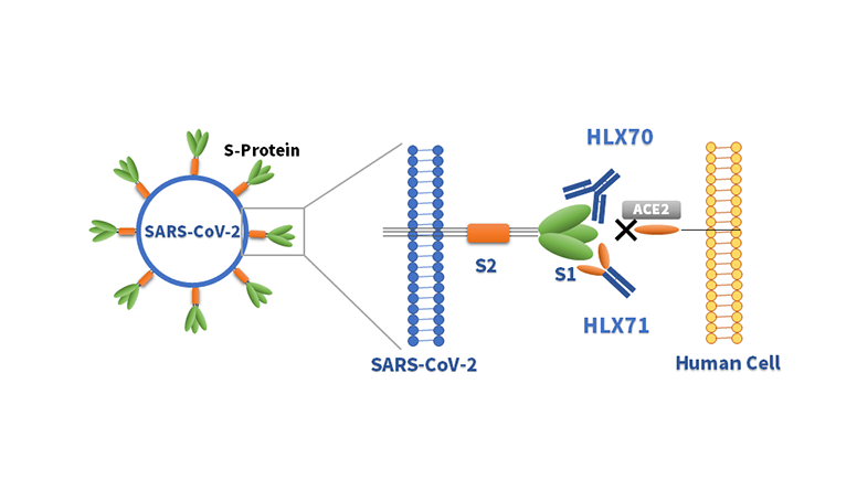 菠菜担保网·(中国区)官方网站