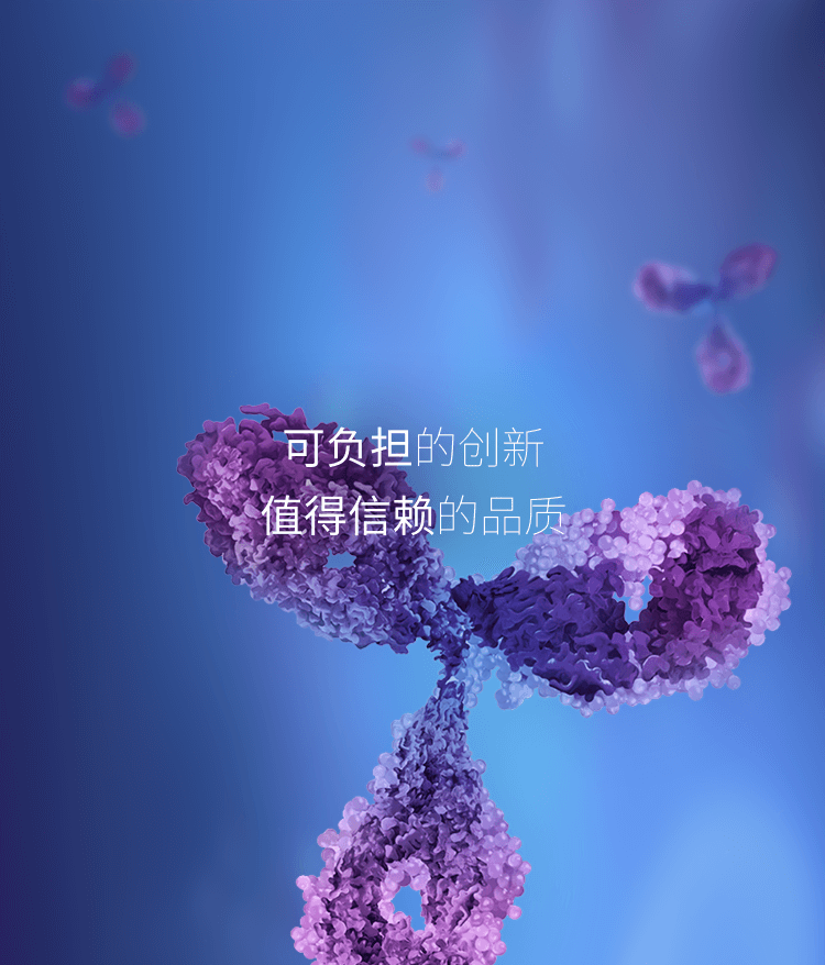 菠菜担保网·(中国区)官方网站