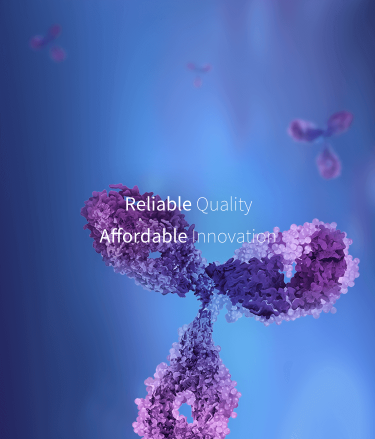 菠菜担保网·(中国区)官方网站