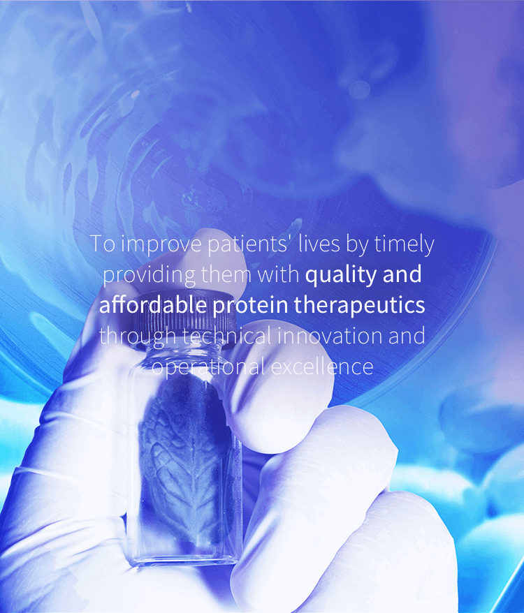 菠菜担保网·(中国区)官方网站