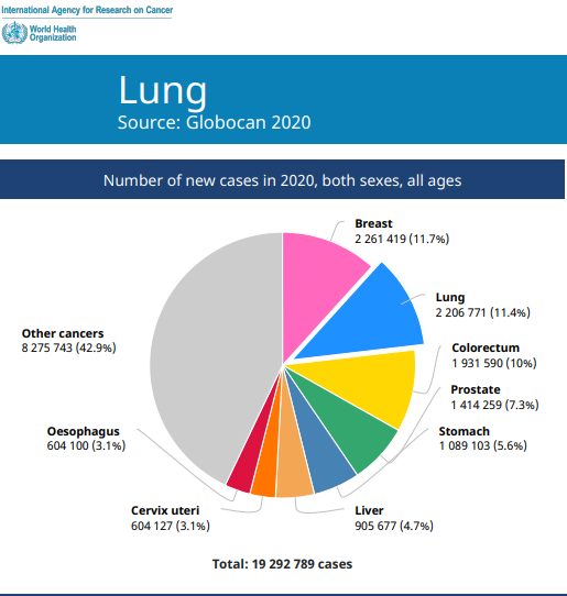 菠菜担保网·(中国区)官方网站