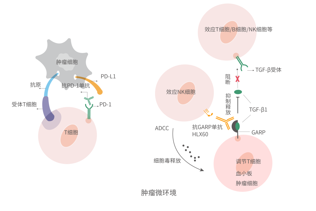 菠菜担保网·(中国区)官方网站
