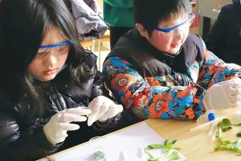 菠菜担保网·(中国区)官方网站