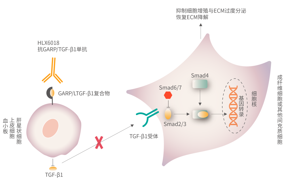 菠菜担保网·(中国区)官方网站