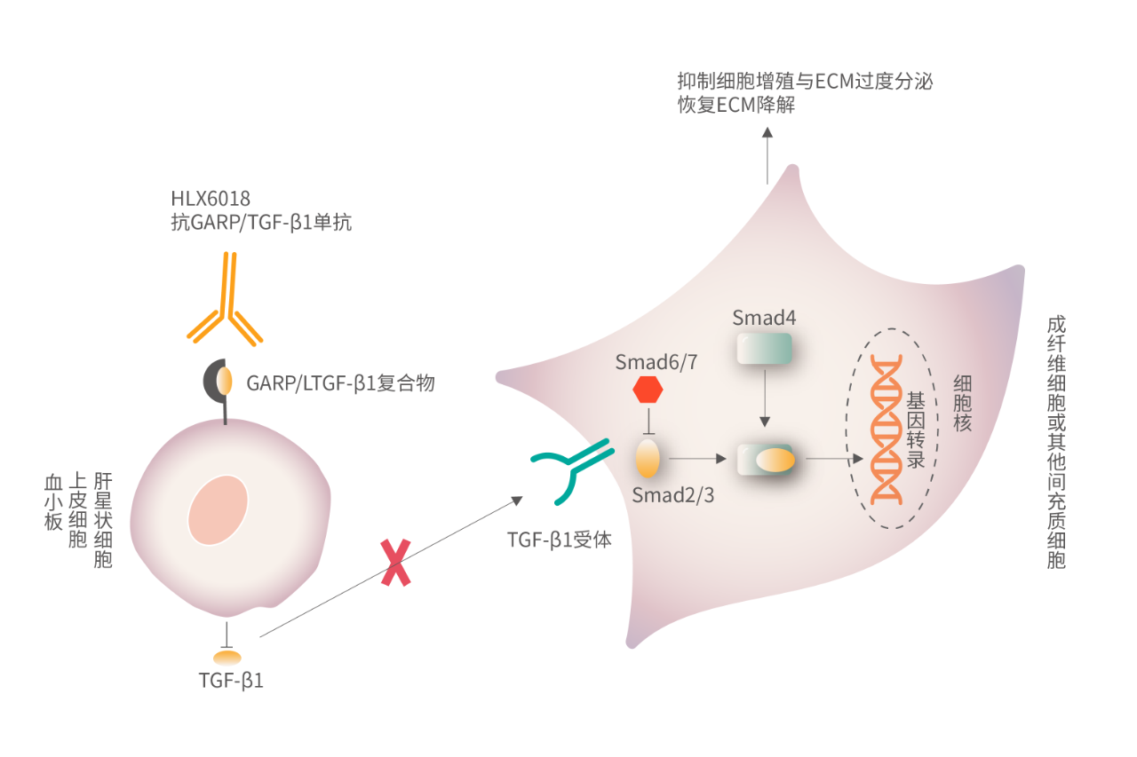 菠菜担保网·(中国区)官方网站