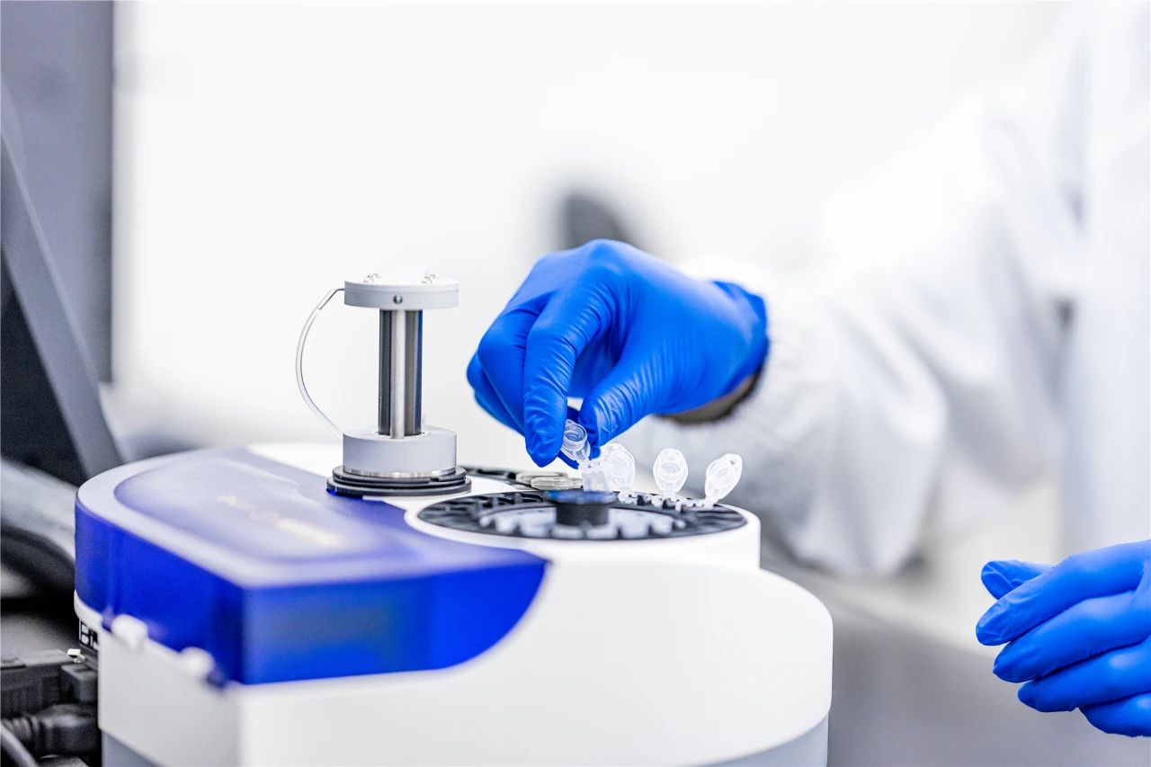 菠菜担保网·(中国区)官方网站