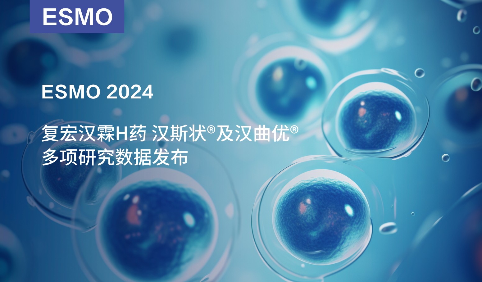 菠菜担保网·(中国区)官方网站