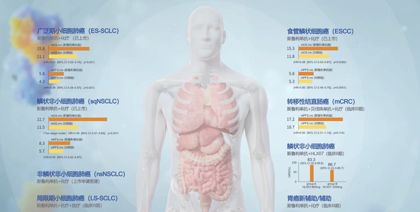 菠菜担保网·(中国区)官方网站