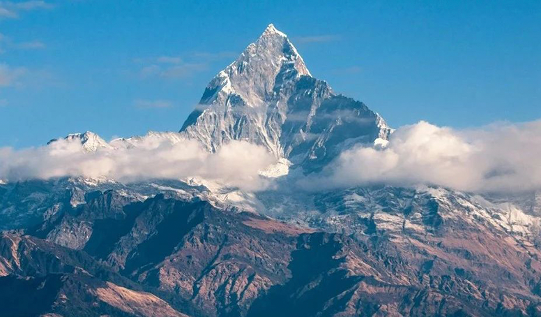 菠菜担保网·(中国区)官方网站