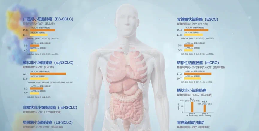 菠菜担保网·(中国区)官方网站