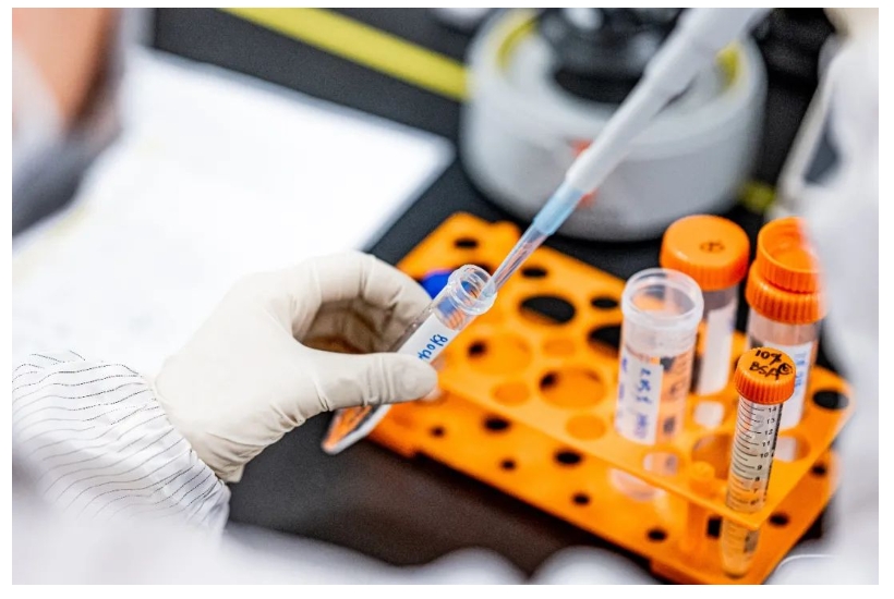 菠菜担保网·(中国区)官方网站