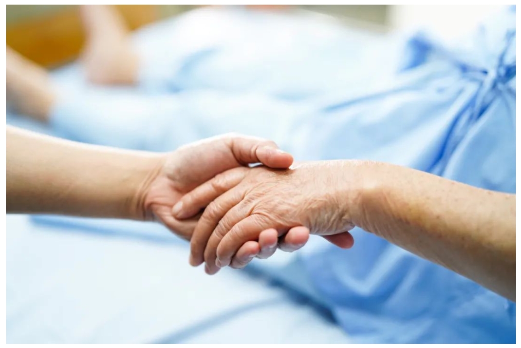 菠菜担保网·(中国区)官方网站